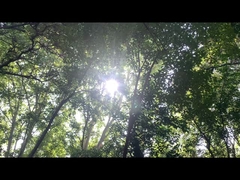 Appareil électrique pour haut-parleurs Bluetooth, batterie au phosphate de fer au lithium 192WH