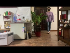 Centrale électrique blanche de 2000 W. Utilisation d'urgence intérieure